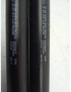 Recambio de amortiguadores maletero / porton para renault clio iv authentique referencia OEM IAM 84430661R   2