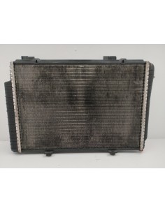 Recambio de radiador agua para mercedes-benz clase c (w202) berlina 1.8 16v cat referencia OEM IAM 2025002103   2