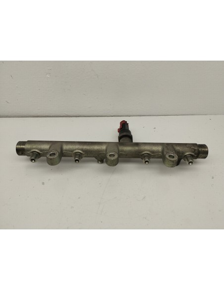 Recambio de rampa inyectora para peugeot 307 break / sw (s1) sw clim referencia OEM IAM 0445214019  