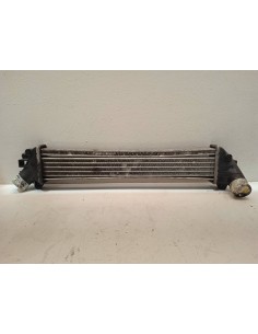 Recambio de intercooler para nissan kubistar (x76) 1.5 dci turbodiesel cat referencia OEM IAM    2