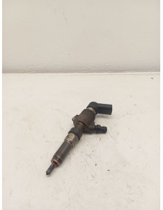 Recambio de inyector para ford fiesta v (jh_, jd_) 1.4 tdci referencia OEM IAM 9655304880  