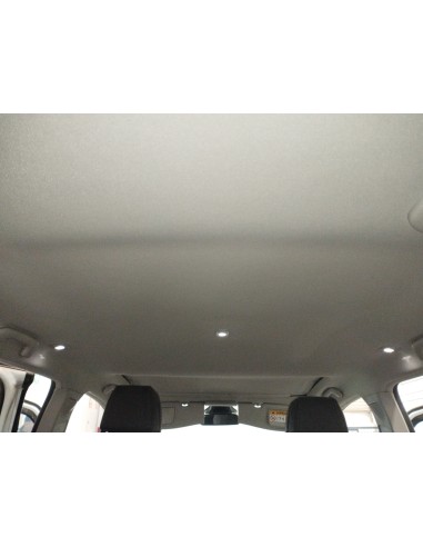 Recambio de techo interior para renault espace v zen referencia OEM IAM 739102018R  