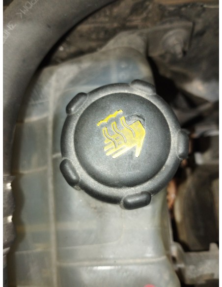Recambio de deposito expansion para renault scenic iii dynamique referencia OEM IAM 217100005R  