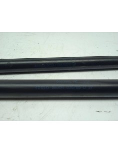 Recambio de amortiguadores maletero / porton para bmw x5 (e53) 3.0d referencia OEM IAM 51248402405   2