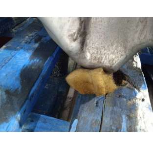 MOTOR COMPLETO - 758033 / K12D 2