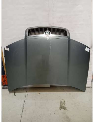 CAPO SKODA FABIA (6Y2/6Y3) - 589170 /...
