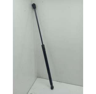 AMORTIGUADORES CAPO OPEL...