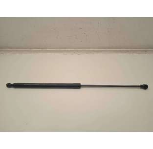 AMORTIGUADORES CAPO DACIA...