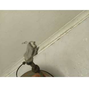 MANGUETA DELANTERA... 2