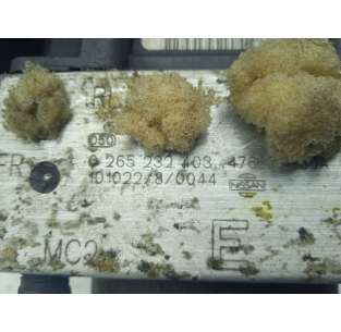 ABS - 651834 / 0265232406 2