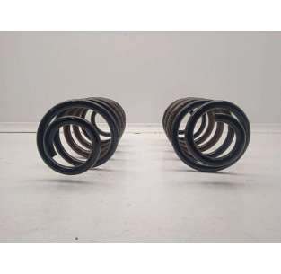 MUELLE AMORTIGUACION -... 2