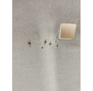 TECHO INTERIOR CITROEN C3 -... 2