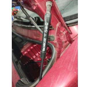 AMORTIGUADORES MALETERO /...