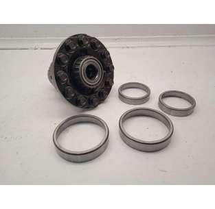 DIFERENCIAL TRASERO -...