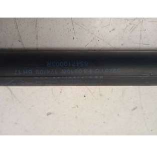 AMORTIGUADORES CAPO RENAULT... 2