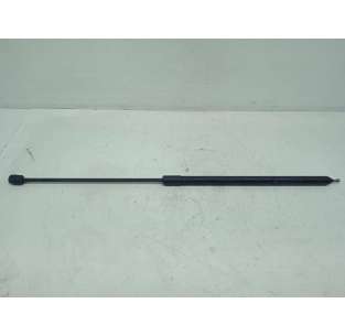 AMORTIGUADORES CAPO RENAULT...