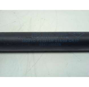 AMORTIGUADORES CAPO RENAULT... 2