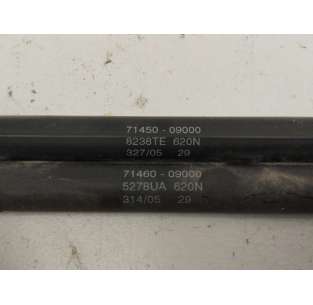 AMORTIGUADORES MALETERO /... 2