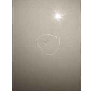 PUERTA DELANTERA IZQUIERDA... 2