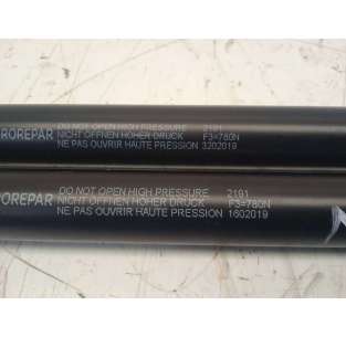 AMORTIGUADORES MALETERO /... 2