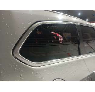 LUNA CUSTODIA TRASERA... 2