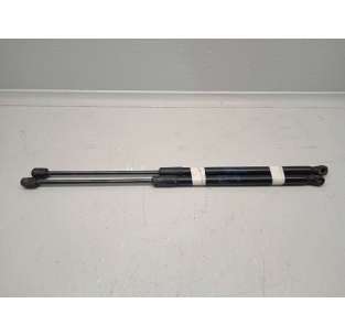 AMORTIGUADORES MALETERO /...