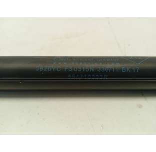 AMORTIGUADORES CAPO RENAULT... 2