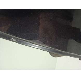 PUERTA DELANTERA IZQUIERDA... 2