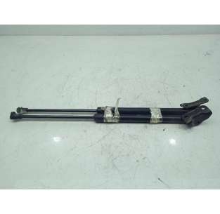 AMORTIGUADORES MALETERO /...