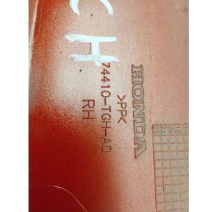 ALETIN TRASERO DERECHO... 2