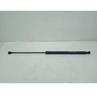 AMORTIGUADORES CAPO DACIA...