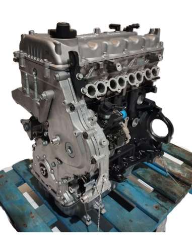 MOTOR COMPLETO - 590256 / D4FB