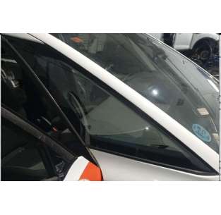 LUNA CUSTODIA DELANTERA...