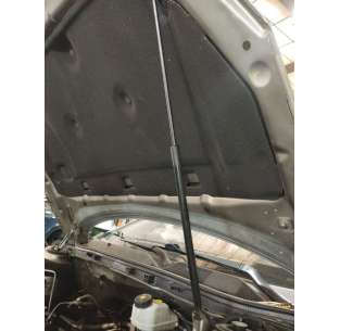 AMORTIGUADORES CAPO OPEL...