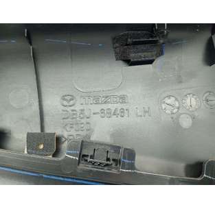 GUARNECIDO PUERTA DELANTERA... 2