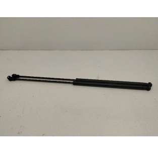 AMORTIGUADORES MALETERO /...