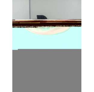 PILOTO TRASERO DERECHO -...