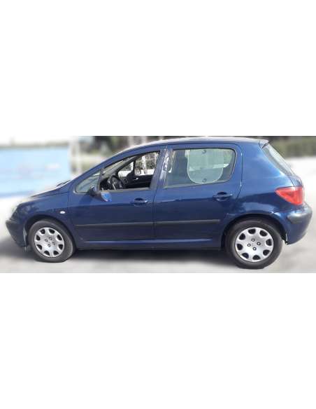 peugeot 307 (s1) del año 2004