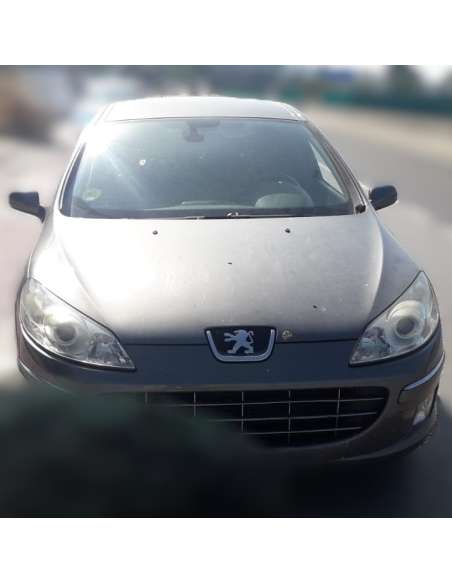peugeot 407 del año 2009