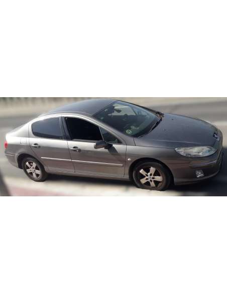 peugeot 407 del año 2009