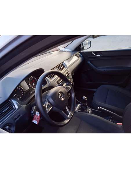 skoda rapid del año 2014