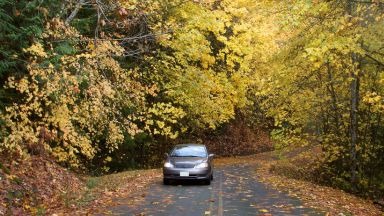 Prepara tu coche para el otoño: consejos para un viaje seguro y eficiente