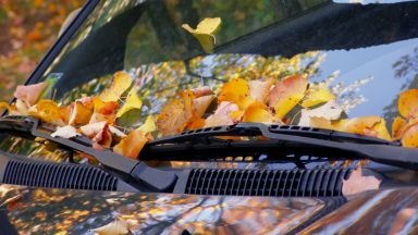 Llega el otoño y tu coche necesita estar preparado
